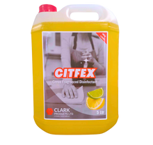 Load image into Gallery viewer, CITFEX DISINFECTANT 5LT