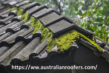 Load image into Gallery viewer, SUB 30 MOSS & MOULD KILLER 5LT