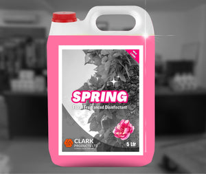 SPRING DISINFECTANT 5L