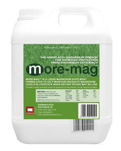 MORE-MAG 2L