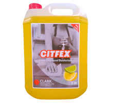 Load image into Gallery viewer, CITFEX DISINFECTANT 5LT
